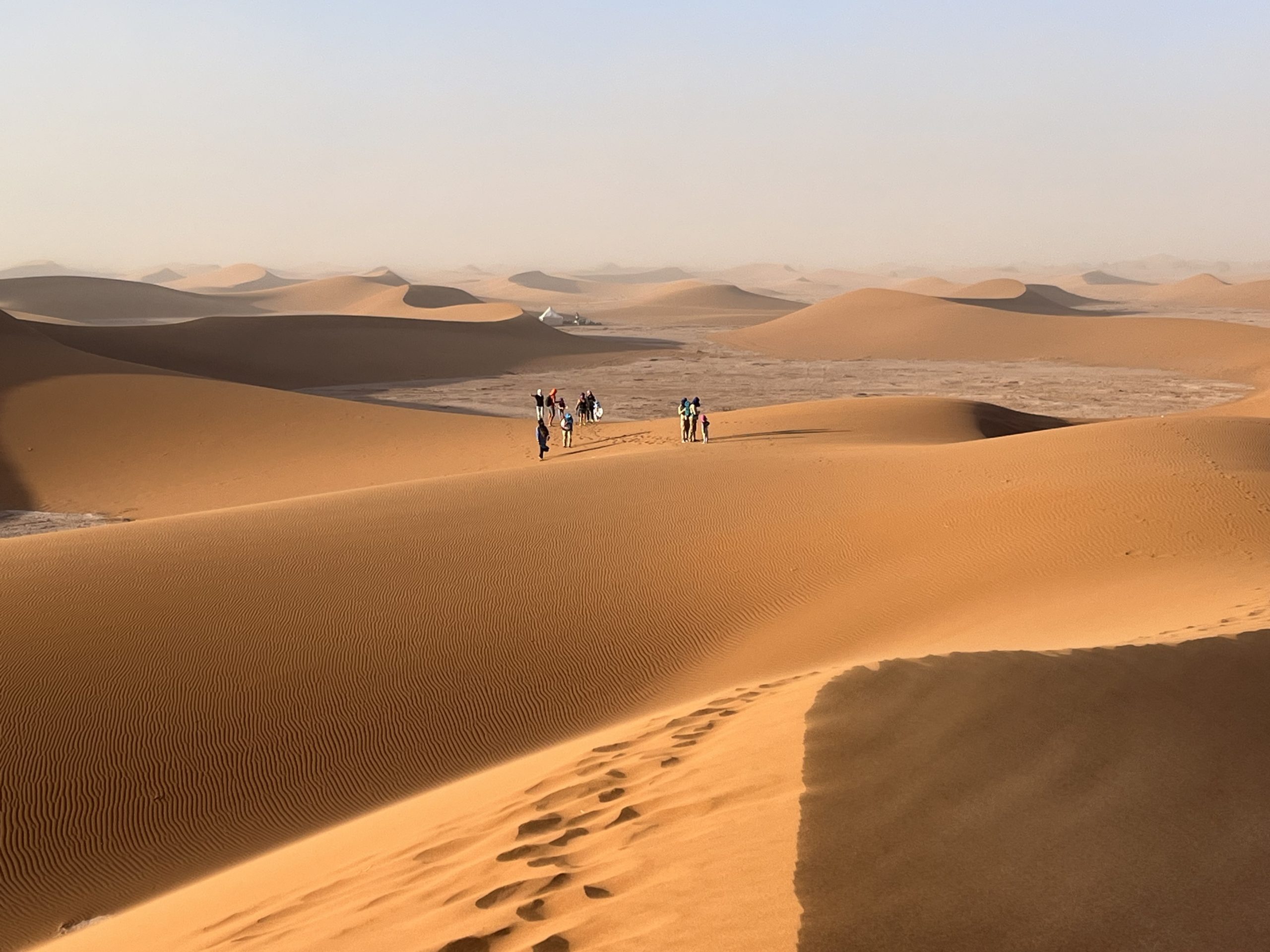 Pustynia – wydmy o zachodzie słońca